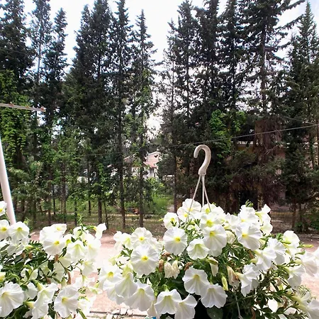 Appartamento Cozy Nest Golem- 1 Min From The *